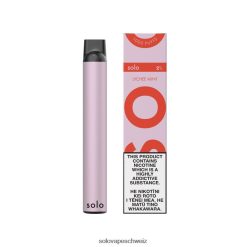 Litschi-Minze Solo Einweg-Vapor VXT6N29 | Solo Vape Schweiz