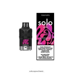 Wassermelonenminze Solo MAX Schote VXT6N286 | Solo Vape Puffs